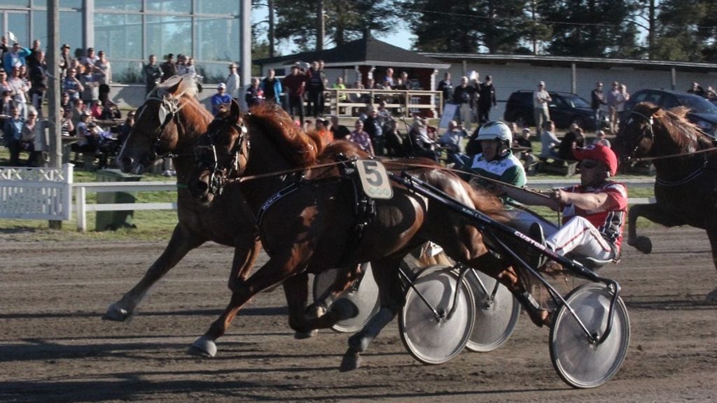 Vixus vei Pikkupelimannin nimiinsä Kaustisella.