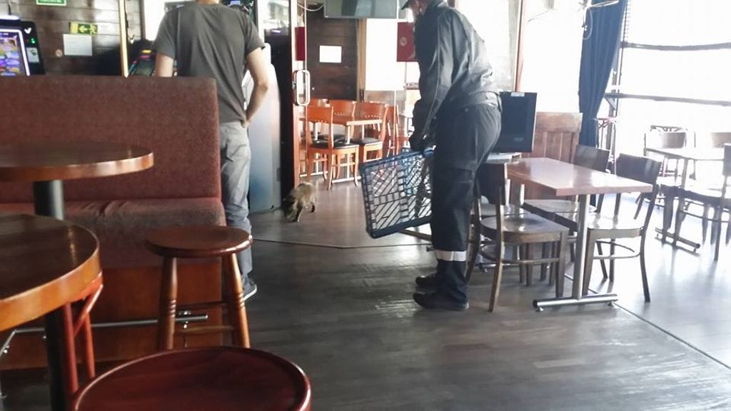 19875205_10155084758182659_1854144469429569582_n (1)