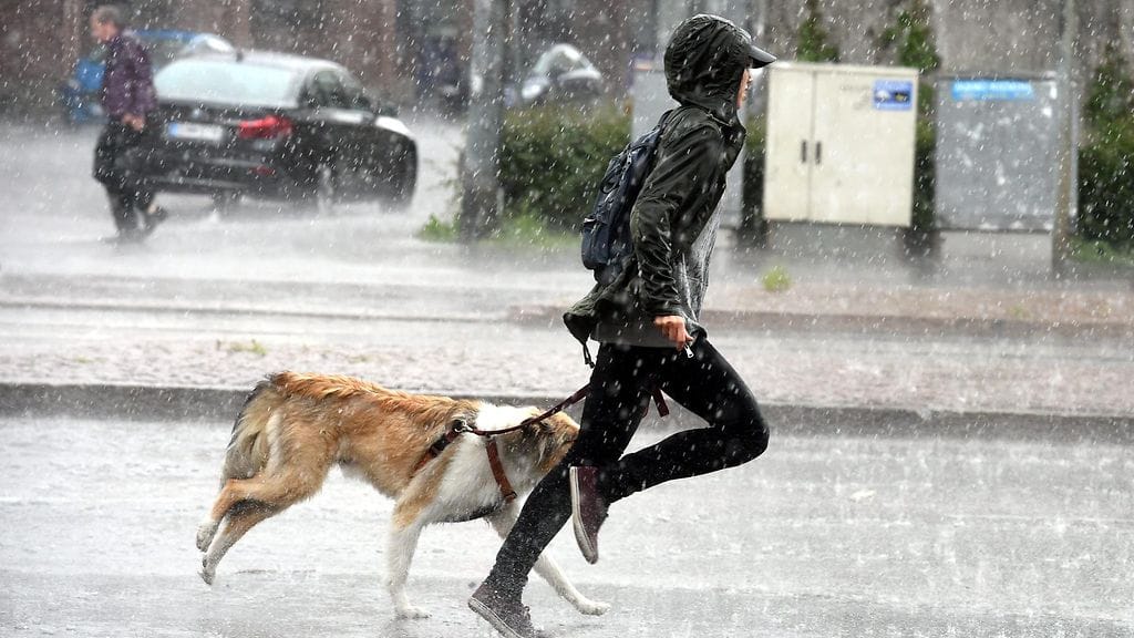 Loppuviikosta kannattaa varautua sadekuuroihin.