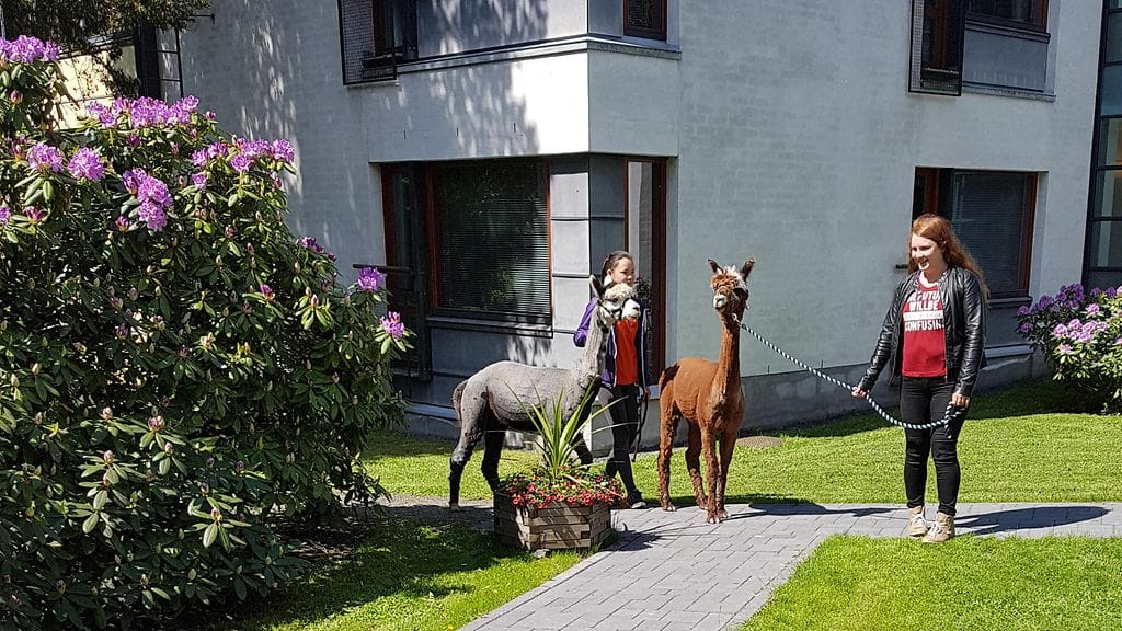 HUOM KUVA ON VAIN LIFESTYLEN ARTIKKELIIN Gaius-säätiön tapahtumasta