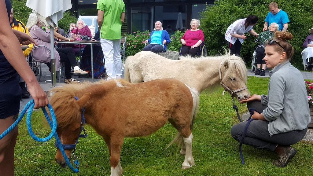HUOM KUVA ON VAIN LIFESTYLEN ARTIKKELIIN Gaius-säätiön tapahtumasta