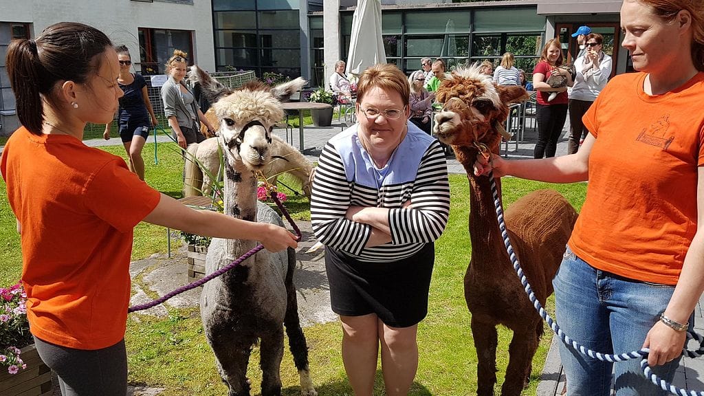 HUOM KUVA ON VAIN LIFESTYLEN ARTIKKELIIN Gaius-säätiön tapahtumasta