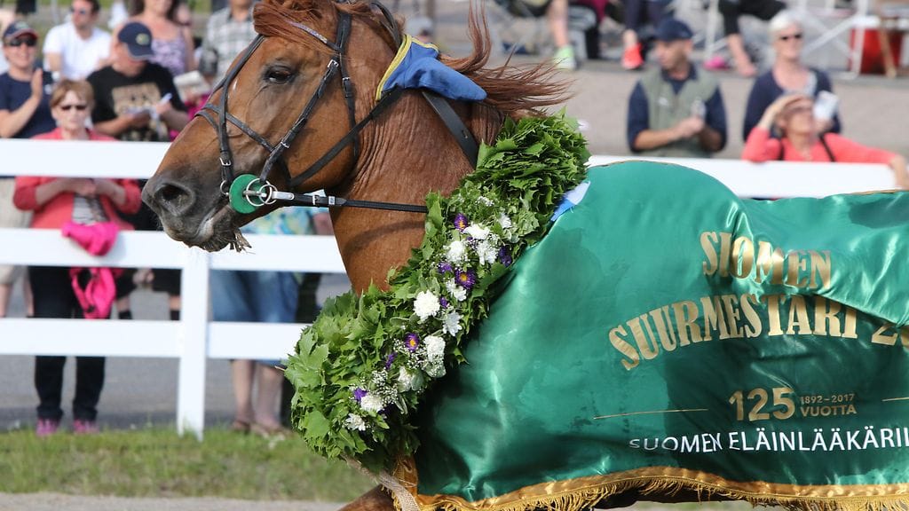 Camri viimeisteli kuntonsa Vermon kuninkuuskilpaan Suurmestaruuden voitolla Mikkelissä.