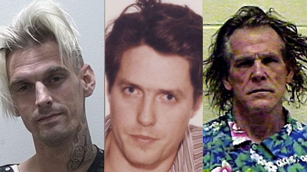 Laulaja Aaron Carter, näyttelijä Hugh Grant  ja Nick Nolte pidätyskuvissa.