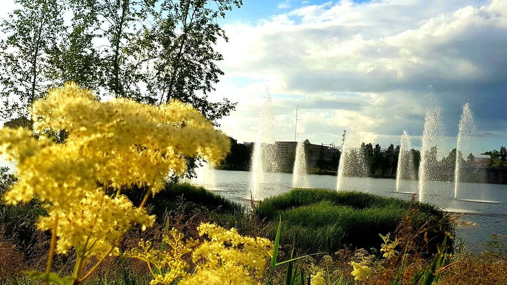 Oulussa oli kaunis kesäpäivä jo lauantaina 22. heinäkuuta, mutta ensi viikolle helle jämähtää Suomen pohjoisosiin.