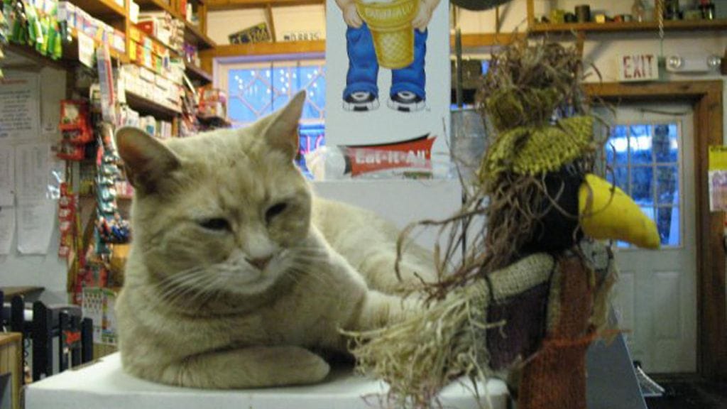 Stubbs kuvattuna vuonna 2012.