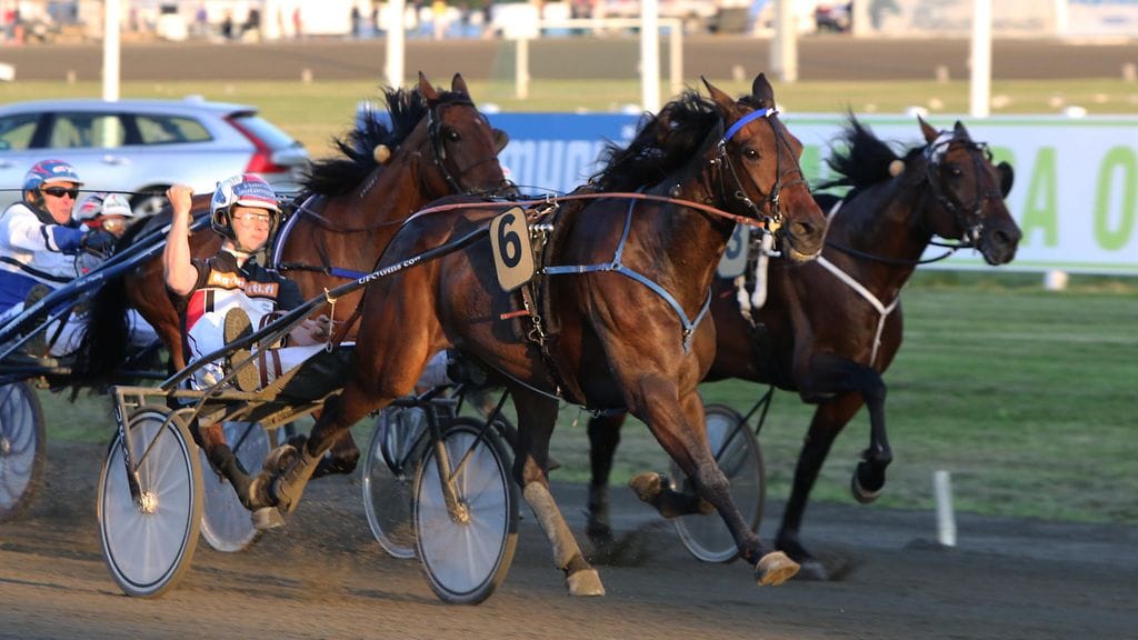 Joensuu-ajon voittajan nimi oli lauantaina sattuvasti Midnight Hour. Iikka Nurmonen tuuletti rattailla.