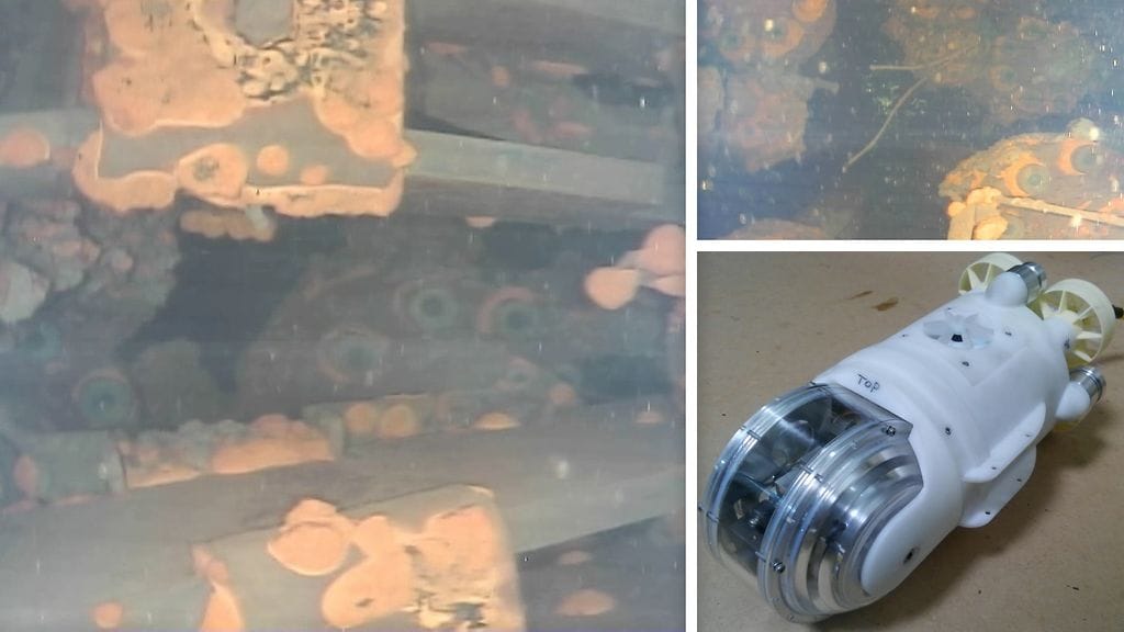 Kuvissa näkyy arvioiden mukaan ydinpolttoaineen jäänteitä.