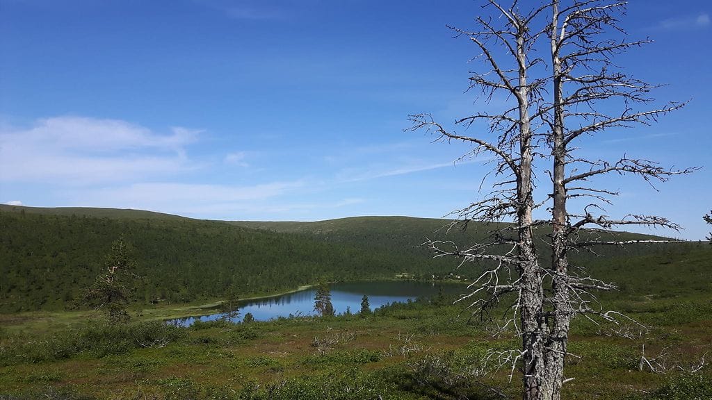 Hellettä tunturissa