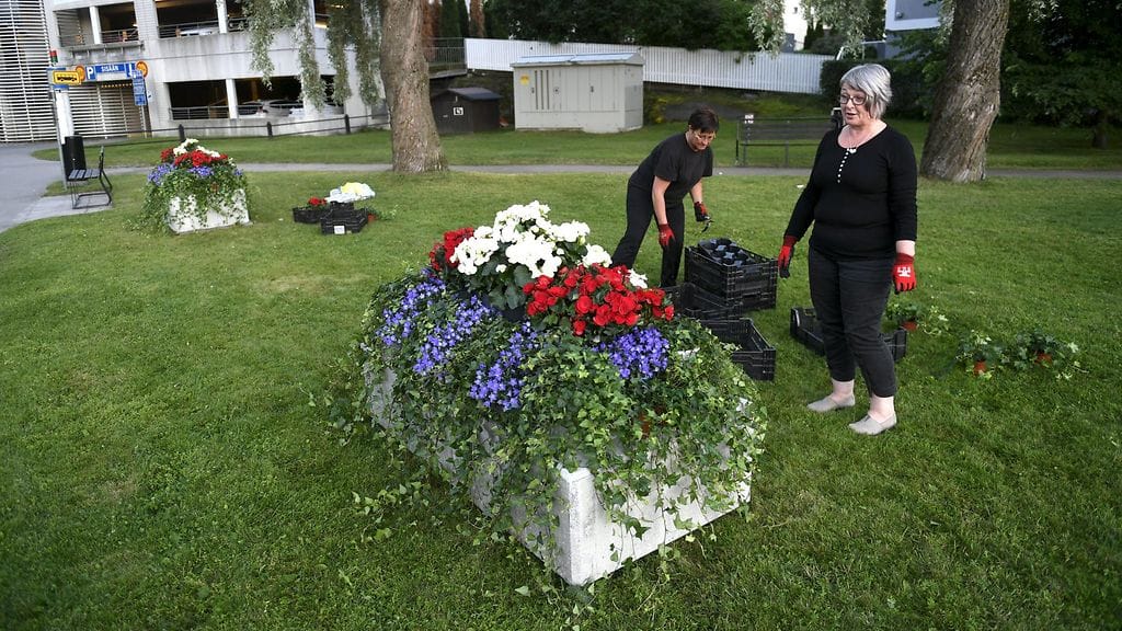 Savonlinnan sataman suojaksi Venäjän presidentin Vladimir Putinin vierailun ajaksi laitettuja betoniesteitä koristeltiin kukkasin myöhään keskiviikkoiltana 26. heinäkuuta 2017. Suomen ja Venäjän presidentit tapaavat Savonlinnassa torstaina.