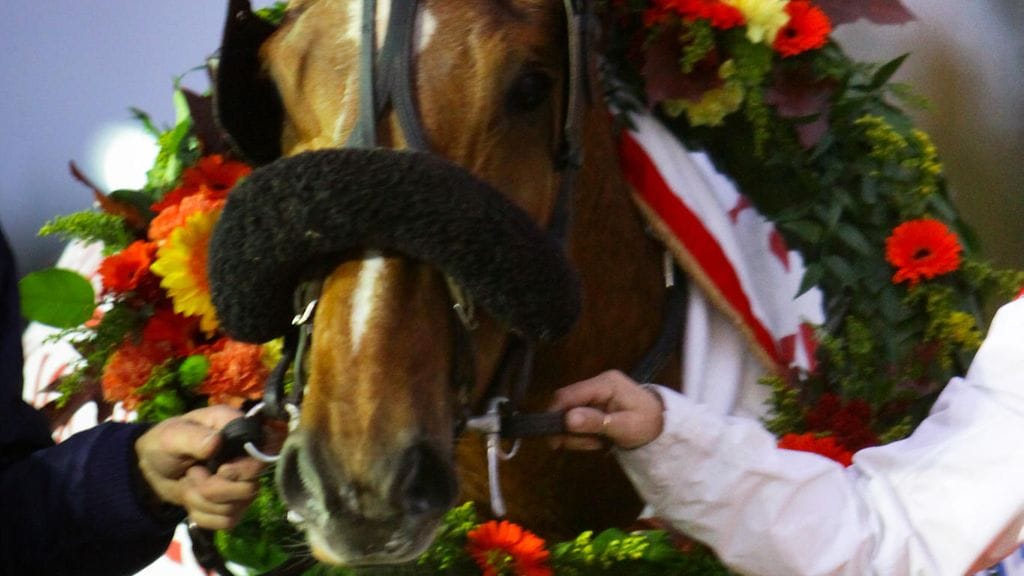 Lumi-Hessu tavoittelee pitkästä aikaa Toto76-voittoa lauantaina Ylivieskassa.