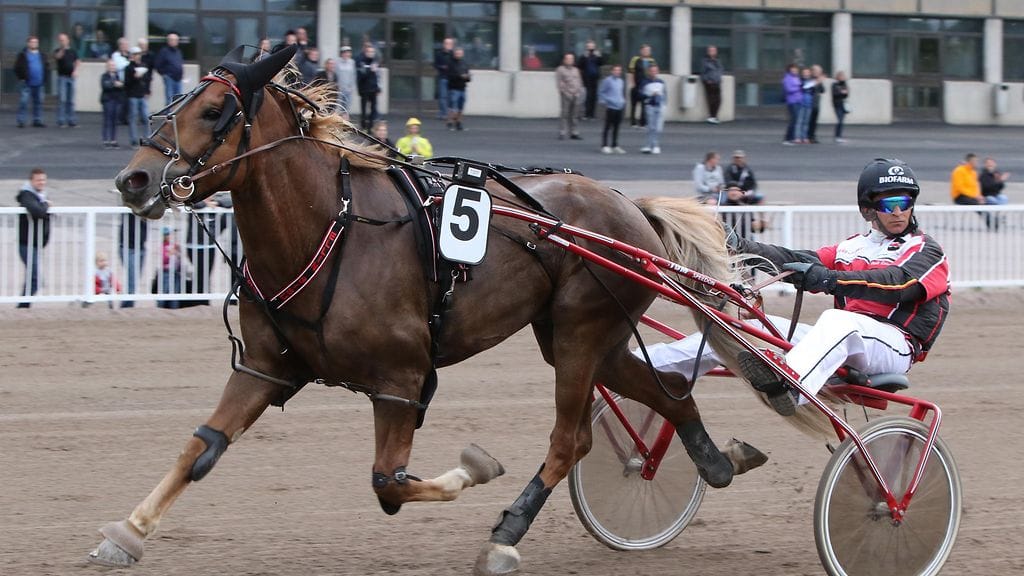 Ellin Sisu/Henri Bollström ei saanut muilta vastusta viimeksi Vermossa Tawaststjernan Muistoajossa.