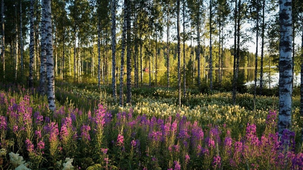 Heinolassa 26.7.17. KUVA: Maarit Siitonen