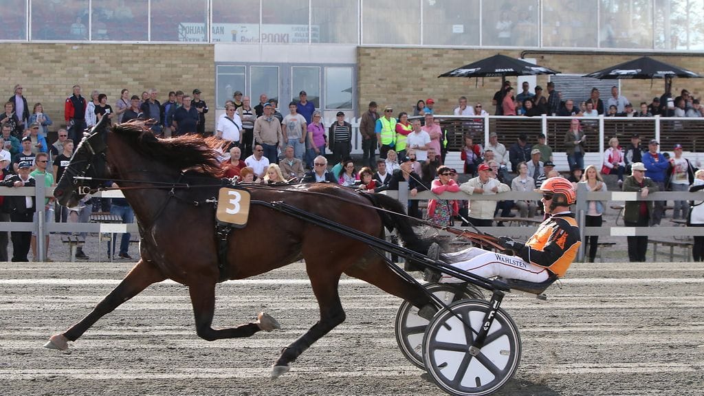 Tommi Kylliäisen ajama Regent Zet ei päästänyt muita Malja-ajon loppusuoralla edes lähelleen.
