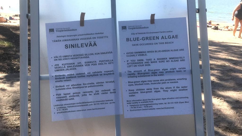 Levä, sinilevä, varoitus