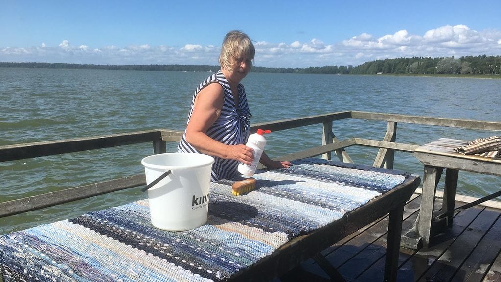 Levä, sinilevä, mattojen pesu