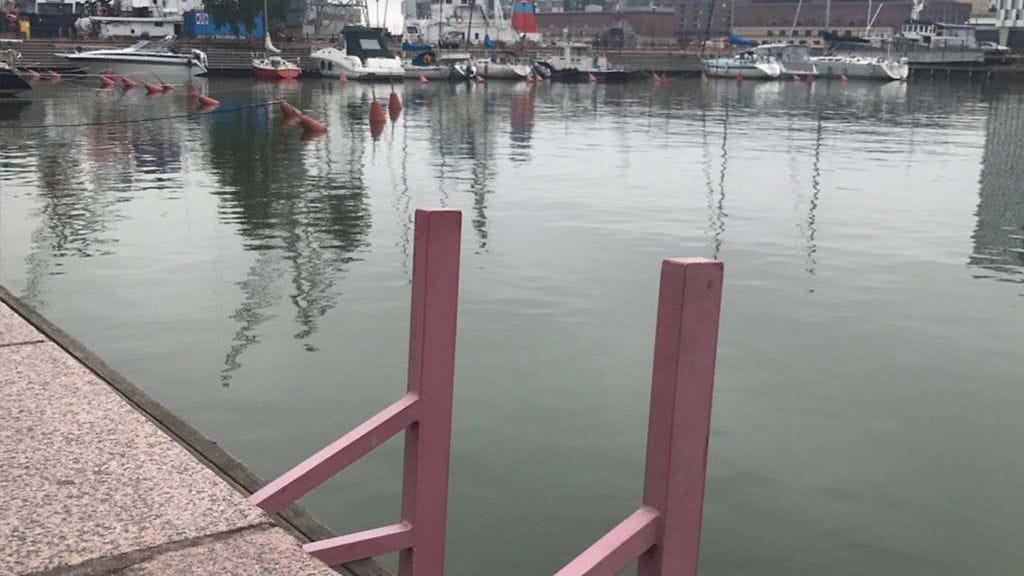 Helsingin Hietalahden satama-altaan reunalle on asennettu tikapuita.