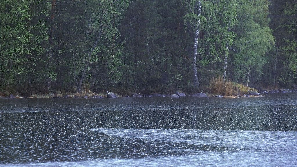 Kuvaaja: Jaakko Avikainen