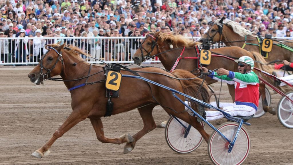 Akaasia liiteli tyylikkäin askelin avausmatkan voittoon. Kuva: Suomen Hippos.