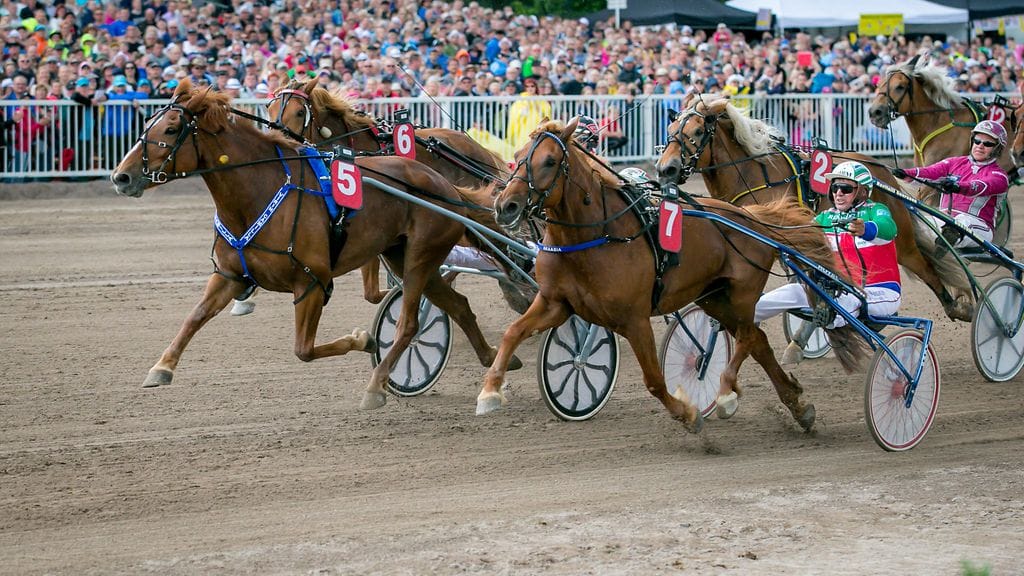 Virin Camilla jyräsi loppusuoralla ohi avausmatkan voittajasta Akaasiasta.