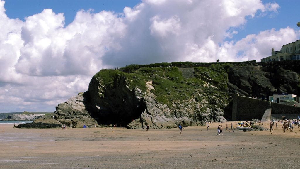 Koiranulkoiluttaja löysi Fentonin ruumiin rannalta Newquayssa.