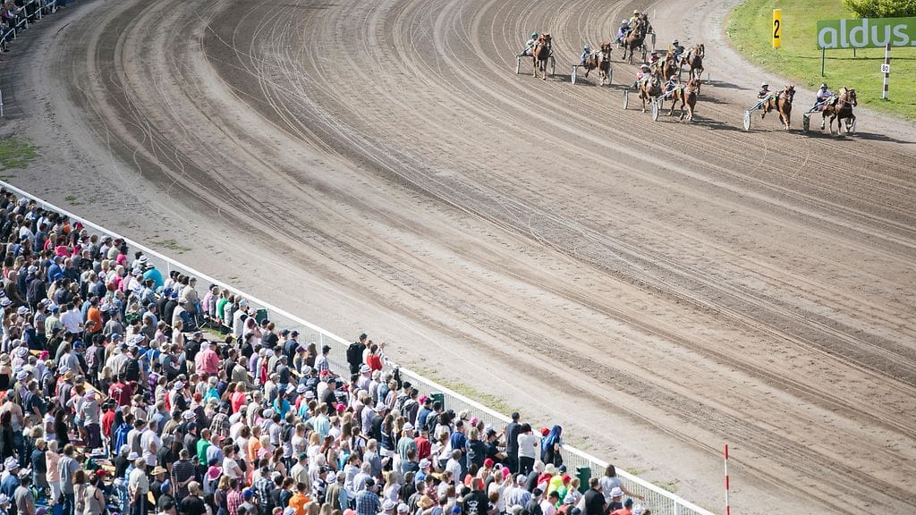 Aurinkokin näyttäytyi Vermon kuninkuusraveissa.