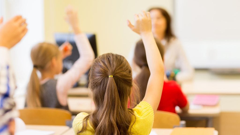 koulu oppilas oppilaat viittaa