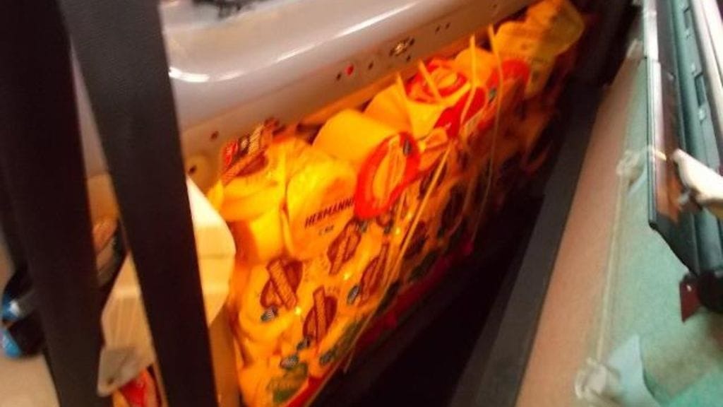 Oltermannia tullissa 2