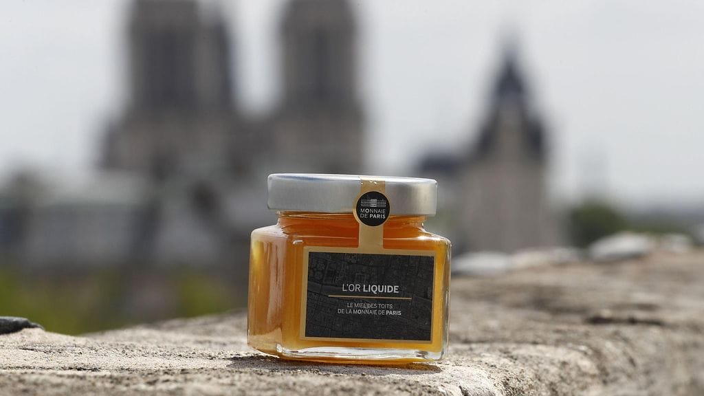 Mehiläiset Pariisissa 3