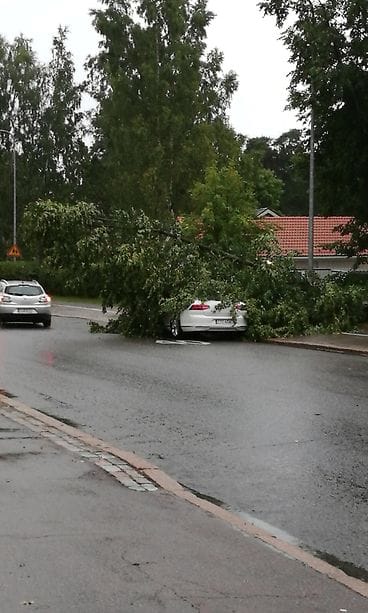 Myrsky pääkaupunkiseudulla 12.8.2017