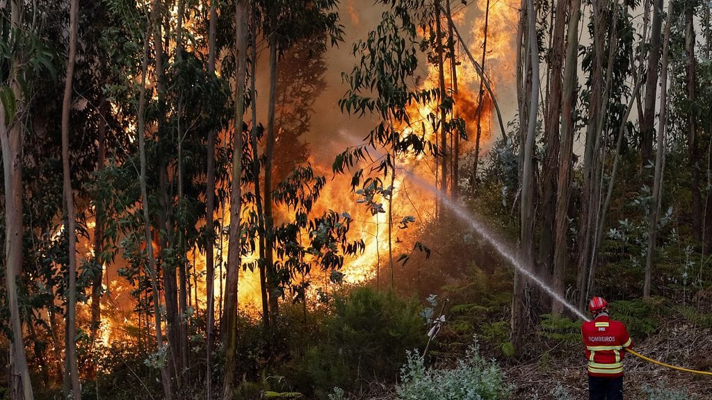 Palomies sammuttamassa tulipaloa Caboucon kylässä, Coimbrassa, 13.8.2017.