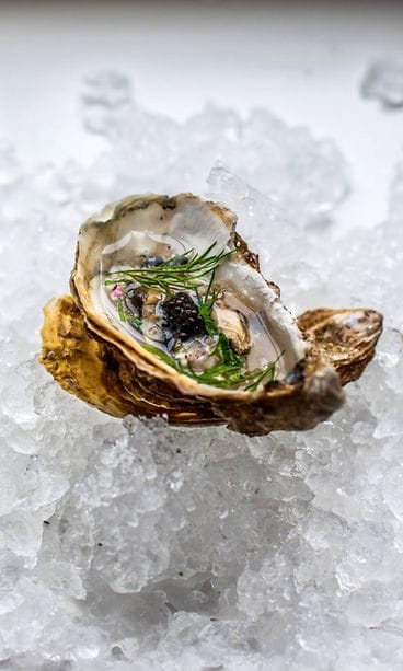 Bistro Gustaf Osteri