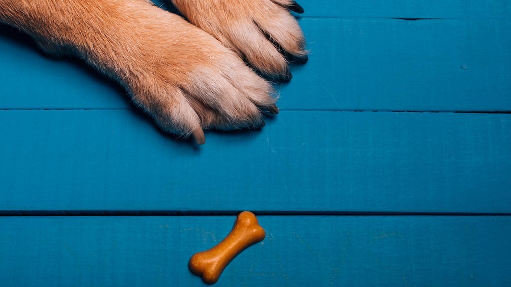 Kuvituskuva ei liity uutiseen.