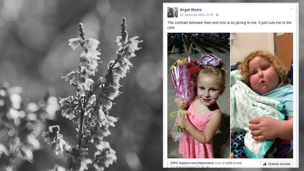 Kuvituskuva Colourbox, toisen kuvan lähde Facebook.