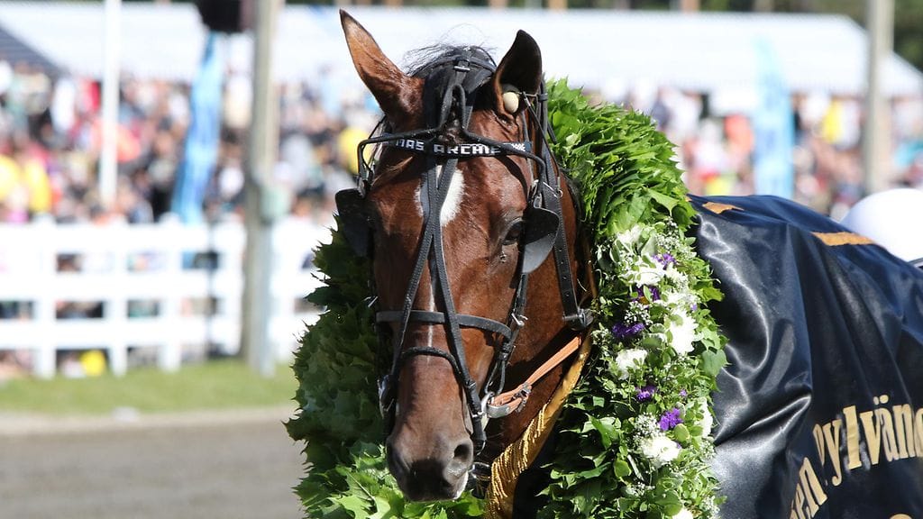 Menestynyt MAS Archie jäi ilman himoittua Suuren Suomalaisen Derbyn finaalipaikkaa.