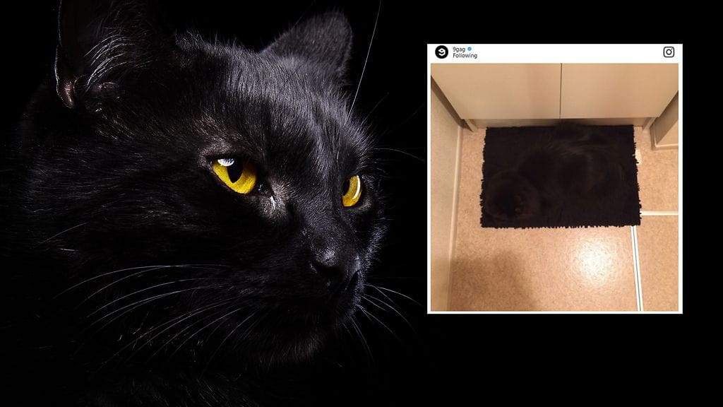 Kuvituskuva Shutterstock, toisen kuvan lähde Instagram.