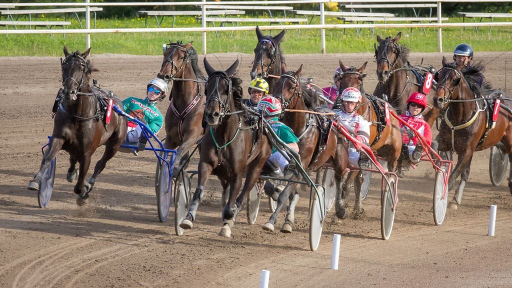 23 000 euroa on suurin koskaan maksettu ykköspalkinto kaksivuotiaille.