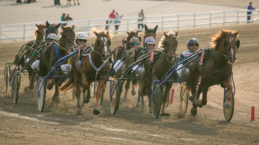 Jani Ruotsalaisen vakioajokki Callex johti Derby-karsintalähtöään alusta loppuun varmoin ottein.