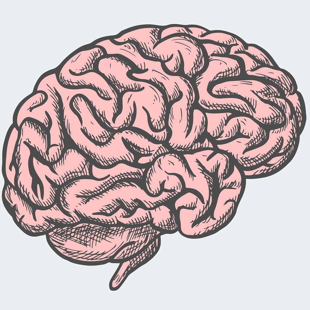 aivot_laatikonvärinentausta3