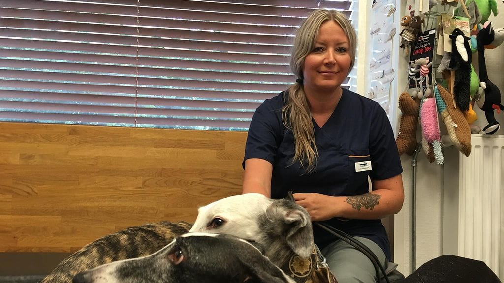 Eläinlääkäri Tanja Hakkaraisella on vuosien kokemus rescue-eläinten parissa työskentelystä.