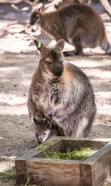 34472582323_aaf373347f_o