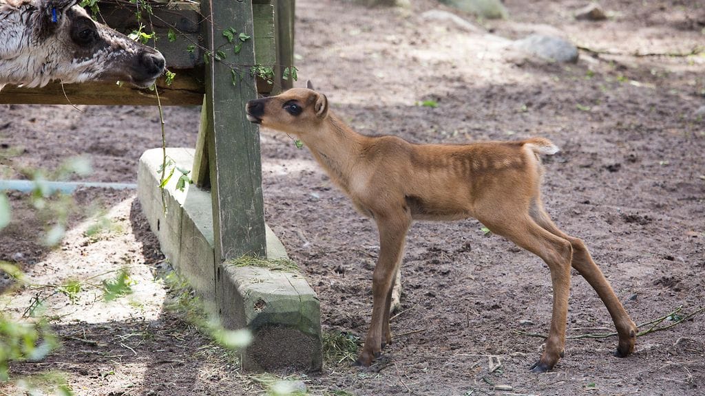 35270085181_d737b99f74_o