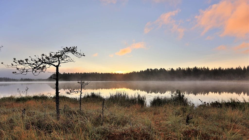 Pekka Hatunen Vaala syyssumukuva 2