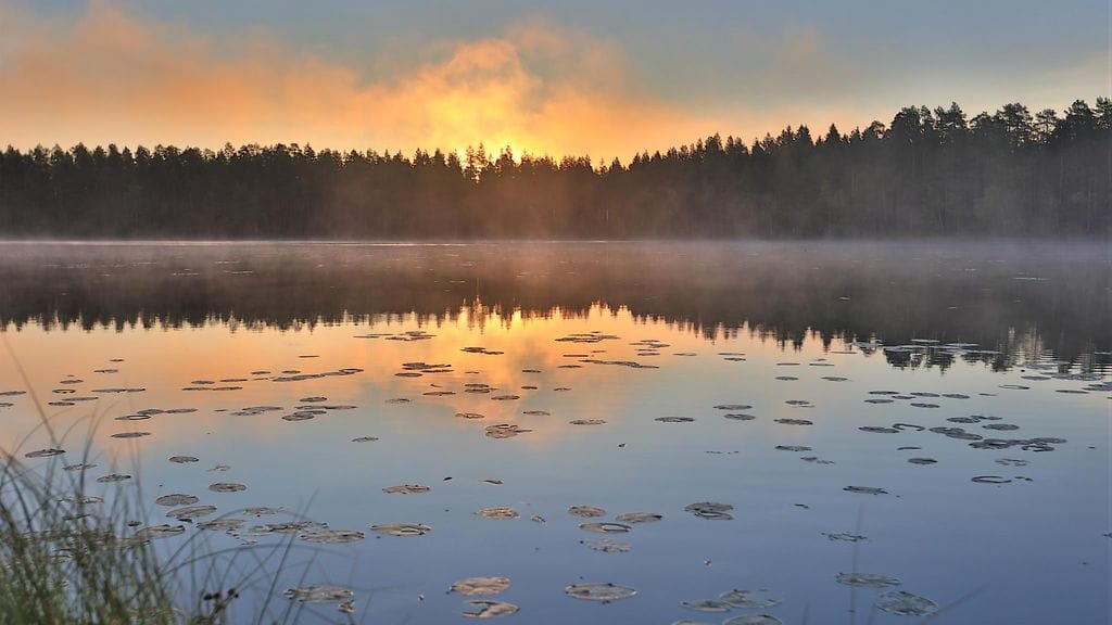 Pekka Hatunen Vaala syyssumukuva 3