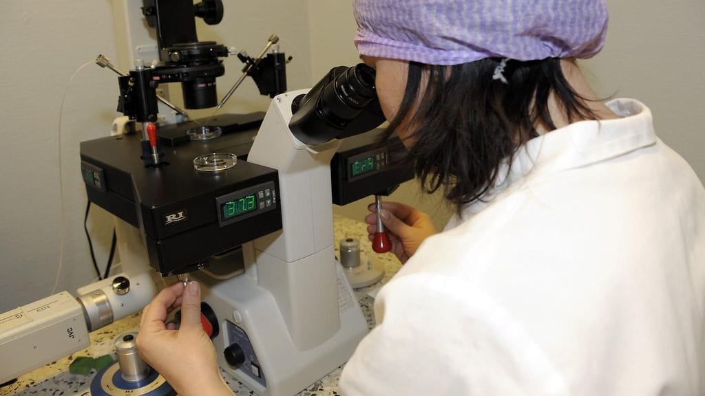 Kuvituskuva: Mikroskooppityökalulla yhdistetään munasolu ja siittiö.