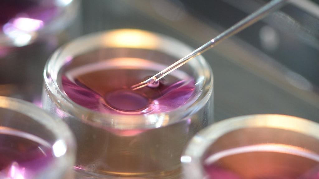 Kuvituskuva: Munasolujen pakastusta eli vitrifilointia.