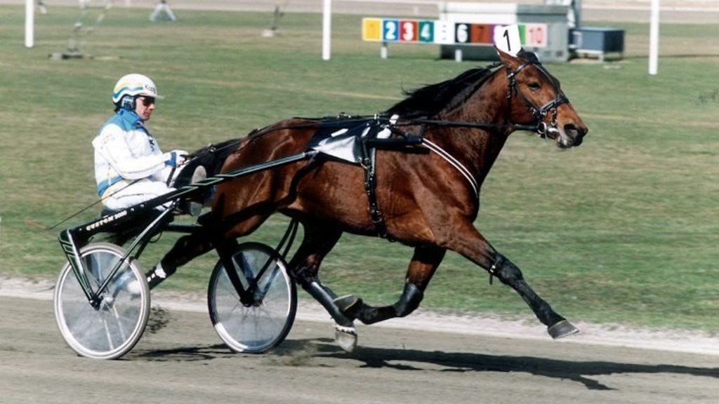 Houston Laukko niitti menestystä myös kansainvälisillä kilpakentillä.