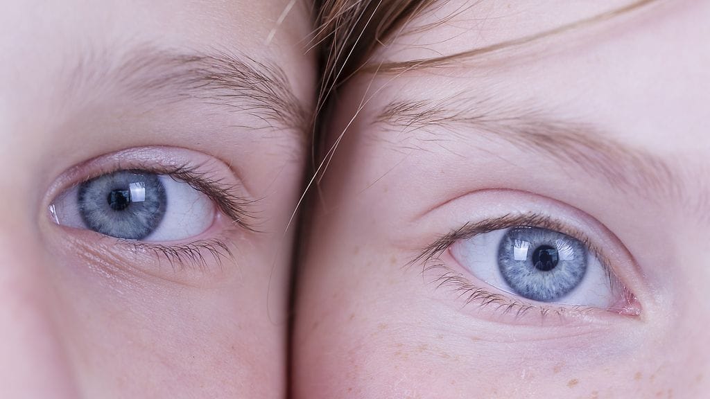 Sinisilmäisillä on sama esi-isä.