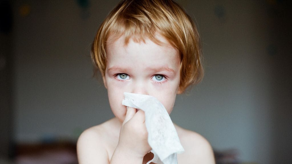 lapsi, nuha, niistää