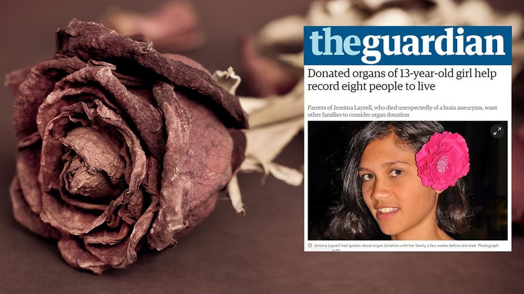 Kuvituskuva Colourbox, toisen kuvan lähde the Guardian.